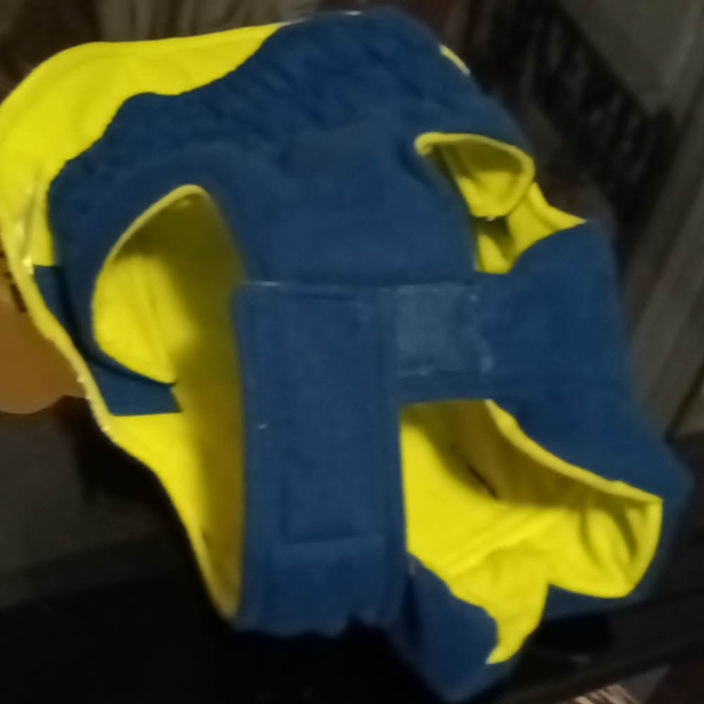 Jacket for dog for winter